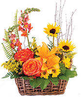 Natural Sunset Basket Arrangement