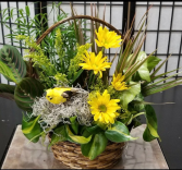 Natural Touch Dishgarden 