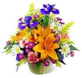 Natural Wonders Basket 