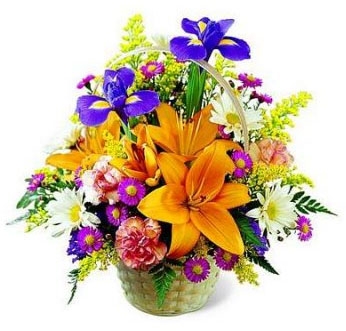 Natural Wonders Basket 