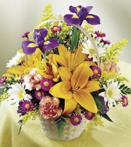Natural Wonders Basket 
