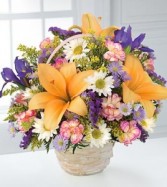 Natural Wonders™ Basket Arrangement