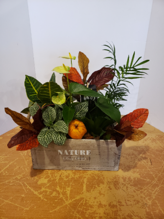Nature Crate  Planter