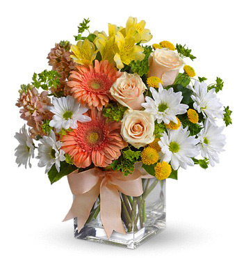 Natures best Square vase fresh flowers