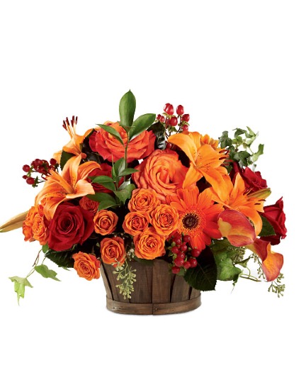 Nature's Bounty Basket 
