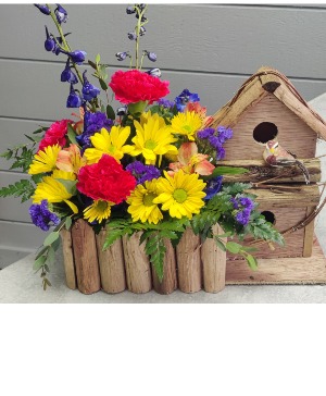 Natures Garden 