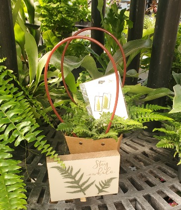 Nature’s Touch Gift Set WOODBURY'S ORIGINAL in Springfield, VT | WOODBURY FLORIST