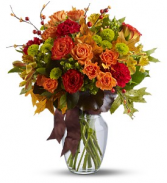 Nature's Wonder - 455 Autumn 