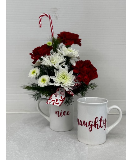 Naughty and Nice Mug  
