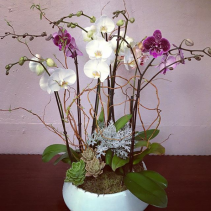 Nephrite Garden 