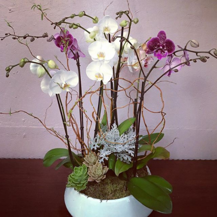 Nephrite Garden 