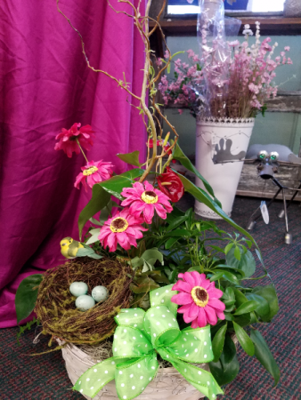 Nest Basket Garden 