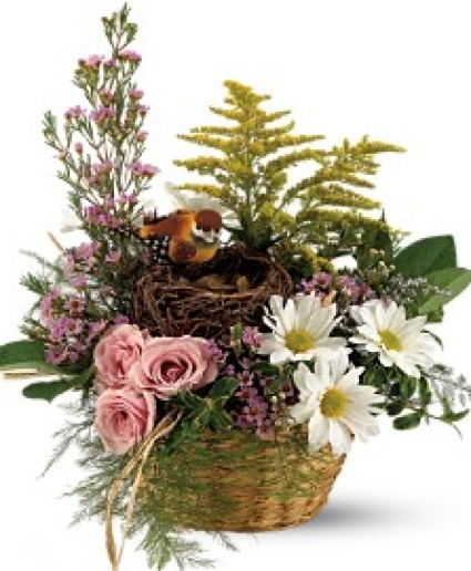 Nesting Basket 