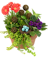 Nesting Blooms Flowering Plants