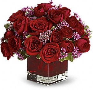 Never Let Go -18 Roses 