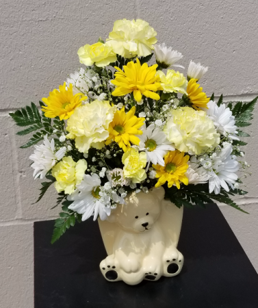 New Baby Bear New Baby