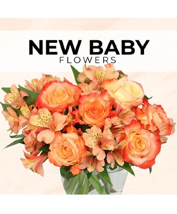 New Baby Florist’s Pick Designer's Choice in Delray Beach, FL | Delray Beach Flower Market