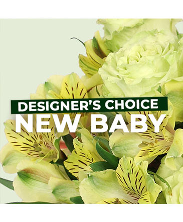 New Baby Flowers Designer's Choice in Marmaduke, AR | Choco Taco Florist ***TEST SHOP****