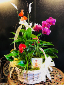 NEW BABY GARDEN BASKET 