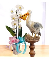 Blooms from Heaven Gift Set (Girl, Boy or Neutral)