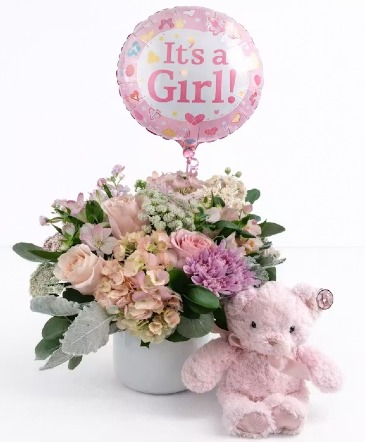 New Baby Girl  in Bronx, NY | Bella's Flower Shop