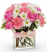 New Baby Girl!  Wahoo! Celebrate a lovely new baby girl!