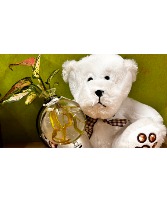 New Beginnings plant combo