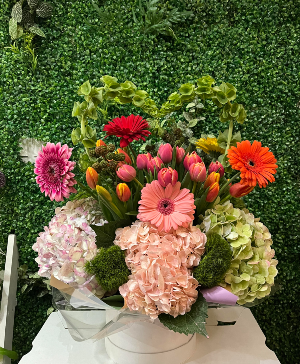 New Beginning Arrangement 