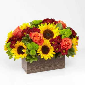 NEW HAPPY HARVEST GARDEN FALL FLOWERS