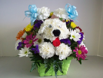 New Pup For New Baby Baby Boy/Girl