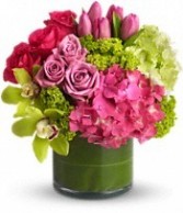 New Sensations vase arrangement