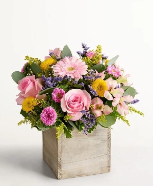 New Spring Sentiment spring and easter 