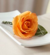 NEW SUNRISE™ BOUTONNIERE 