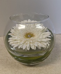 NFS-A23 Gerbera bowl Bubble bowl