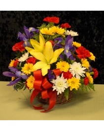 NFS-A52 Wicker basket