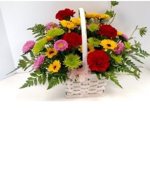 NFS-A90 Wicker basket