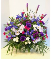 NFS-S53 Traditional with handle Traditional with handle