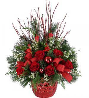 Night Divine Arrangement