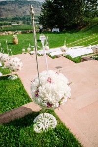 Nikki Dawn Photography 