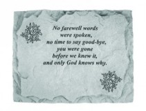 No Farewell Words Were Spoken 