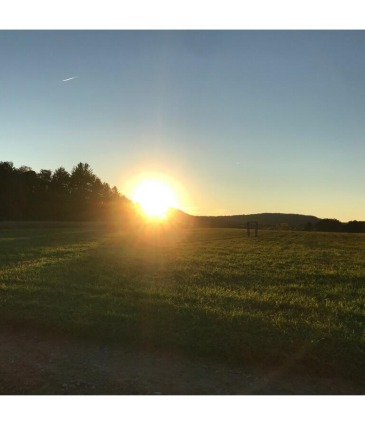 Noble's Farm Wedding Venue    in Pittsfield, MA | NOBLE'S FARM STAND AND FLOWER SHOP