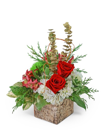 Noel Peace Flower Arrangement