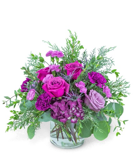 Nordic Magenta  