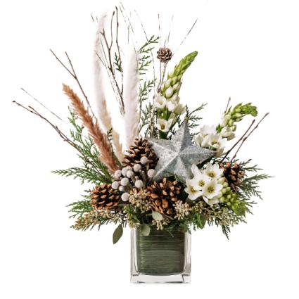 Northern Star Arrangement