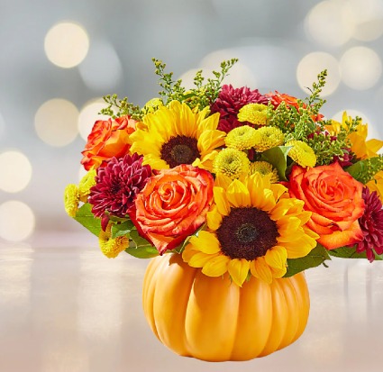 Not Your Average Pumpkin 
