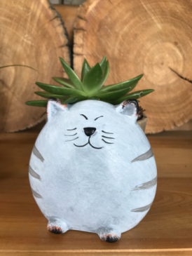 NOVELTY CONTAINER S AND PLANTS Cat Plant