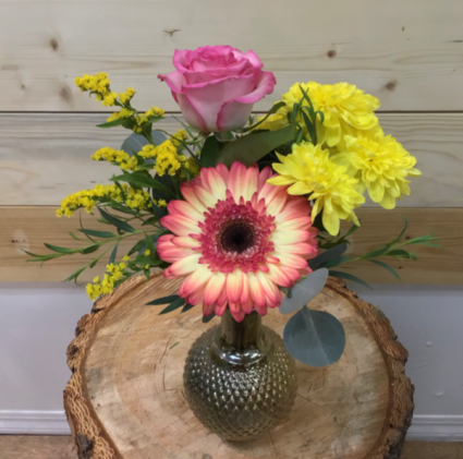 November Arrangement of the Month 