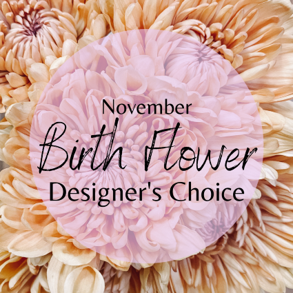 SF November Birth Flower Designer's Choice Designer's Choice