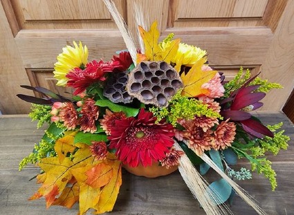 November Feast  T&V Original