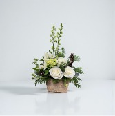 Winters Frost SCF Original - Designed By Kelly